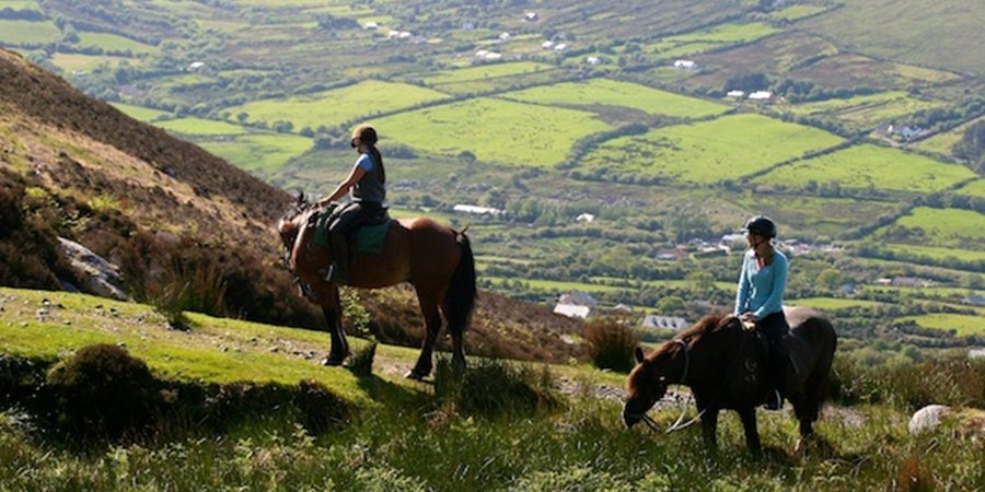 Side Horse Safari