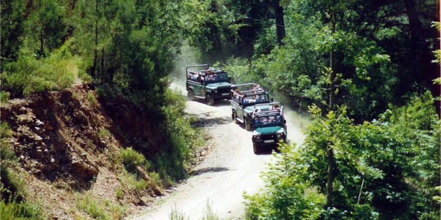 Jeep Safari Side