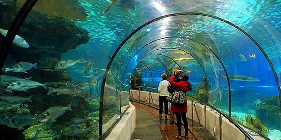 Side Antalya Aquarium Trip