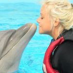 Dolphin therapy in Side