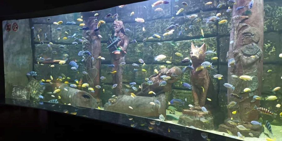 Antalya Aquarium Tour