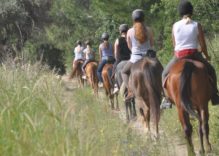 Side Vip Horse Riding